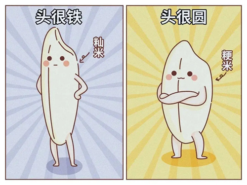 图片细节